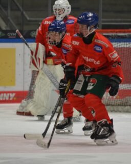 🏒 U15 - Stark gekämpft gegen den Tabellenführer!

Am 08.03.2026 war der ERC Ingolstadt zu Gast im Curt-Frenzel-Stadion bei der U15 des Augsburger EV. Nach dem Punktgewinn im Hinspiel wollte der AEV erneut für eine Überraschung sorgen – und lieferte dem Spitzenreiter einen echten Fight. 💪🏼

🔥 1. Drittel
Ingolstadt startete druckvoll und nutzte ein Powerplay zur 0:1-Führung. Doch der AEV zeigte sofort Charakter und glich nach einem schnellen Konter zum 1:1 aus. Die Partie war eröffnet!

⚡ 2. Drittel
Ein kurzer Schockmoment: Innerhalb von 23 Sekunden stellte Ingolstadt auf 1:3. Die Augsburger kämpften jedoch weiter, hielten stark dagegen und erspielten sich mehrere Chancen – nur das Quäntchen Glück fehlte.

⏱ 3. Drittel
Der AEV warf noch einmal alles nach vorne. In der 57. Minute fiel der verdiente 2:3-Anschlusstreffer – Spannung bis zum Schluss! Kurz vor Ende traf Ingolstadt allerdings zum 2:4-Endstand.

👏 Fazit:
Starker Auftritt unserer U15 gegen den Tabellenführer – mit viel Einsatz, Leidenschaft und Teamgeist. Mit etwas mehr Glück wäre mehr drin gewesen!

Ausblick:
Weiter geht es am 14. März 2026 um 16:15 Uhr trifft der AEV auswärts auf die Rookie Bulls München und am 15. März um 18:00 Uhr folgt gleich das Rückspiel im CFS🏒🔥

#nurderaev #zukunfteishockey #u15 #kämpfenundsiegen💪 #teamgeist