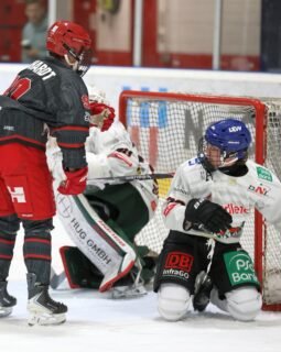 🏒 U20 unterliegt dem Tabellenführer in Köln

Unsere U20 musste sich am vergangenen Wochenende zweimal dem aktuellen Tabellenführer aus Köln geschlagen geben.

Dabei zeigte der AEV vor allem in den ersten Dritteln, dass die Mannschaft mit den Kölner Junghaien mithalten kann. Besonders am Sonntag startete Augsburg gut in die Partie und ging mit einer 1:0-Führung in die erste Drittelpause.

Im weiteren Spielverlauf führten jedoch individuelle Fehler dazu, dass Köln seine Chancen konsequent nutzte. Dem AEV gelang es nicht, an die guten Phasen zu Beginn der Spiele anzuknüpfen.

Die AEV-Torschützen:
🔴 Samstag: Mykyta Horkov, Lenny Creuzburg
⚪ Sonntag: Rico Barrenschen, Nolan Gebele

Damit endet das Wochenende mit zwei Niederlagen. Nun gilt es, die Spiele aufzuarbeiten und den Fokus auf die nächste Aufgabe zu richten.

➡️ Am Samstag geht es auswärts zum EV Füssen.

#AEV #AugsburgerEV #U20 #DNL #Eishockey