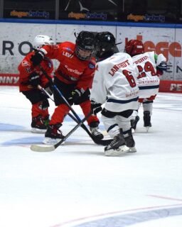 🏒 U7 - Eishockeyspaß für unsere Jüngsten! ❤️💚🤍

Am vergangenen Wochenende durften unsere Kleinsten im heimischen Curt-Frenzel-Stadion ihr Können zeigen. Mit ganz viel Freude, Einsatz und Begeisterung ging es in spannende Begegnungen gegen die Teams aus Peiting, Landshut und der Spielgemeinschaft Füssen/Riessersee. 🏒💪

Faire und ausgeglichene Spiele, jede Menge Einsatz und vor allem strahlende Kinderaugen – genau so soll ein U7-Turnier sein! 🥰

Zum Abschluss gab es für alle Nachwuchsspielerinnen und Nachwuchsspieler noch eine Medaille 🥇 – als schöne Erinnerung an einen tollen Eishockeytag.

🙏 Ein großes Dankeschön an alle Teams, Trainer, Helfer und Unterstützer, die diesen Tag möglich gemacht haben!

Wir freuen uns schon auf das nächste Mal! ❤️🏒

#U7 #Nachwuchseishockey #Eishockey #curtfrenzelstadion #nurderaev