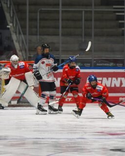 🏒 U15 - Gelungener Test zum Abschluss!

Der AEV gewinnt das letzte Vorbereitungsspiel im Curt-Frenzel-Stadion mit 6:1 gegen den EHC Nürnberg. 🔥

Nach dem frühen Rückstand kam unser Team immer besser ins Spiel und drehte die Partie bereits im ersten Drittel. Danach hatte der AEV das Spiel zunehmend im Griff und legte mit viel Tempo und guten Kombinationen weiter nach.

Am Ende steht ein deutliches 6:1 auf der Anzeigetafel. Ein guter Abschluss vor dem Saisonstart! 💪

Weiter geht’s am 12. und 13. September beim stark besetzten Turnier in Dresden.

#AEV #AugsburgerEV #Vorbereitung #U15 #zukunfteishockey