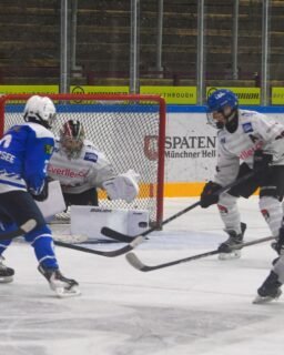 U15 mit 8:3-Auswärtssieg in Riessersee 🏒

Unsere U15 gewinnt ihr Auswärtsspiel beim SC Riessersee mit 8:3.

Die Jungs starteten gut ins Spiel und konnten sich bereits im ersten Drittel eine 4:1-Führung erspielen. Auch im zweiten Drittel blieb die Mannschaft konzentriert und baute den Vorsprung weiter aus.

Im letzten Drittel wurde es noch einmal etwas intensiver, aber das Team blieb ruhig und brachte den Sieg am Ende verdient nach Hause.💪🏼

Weiter geht’s am Wochenende:

📍 Samstag, 17:00 Uhr
🏒 AEV U15 vs. ESV Kaufbeuren

📍 Sonntag, 11:45 Uhr
🏒 AEV U15 vs. SC Riessersee

Beide Spiele finden im Curt-Frenzel-Stadion statt. Wir freuen uns auf eure Unterstützung! ❤️💚🤍

#NurDerAEV #U15 #AugsburgerEV #Auswärtssieg #Teamgeist