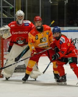 U15 - Intensiver Doppelspieltag 🏒

Gegen den ESV Kaufbeuren zeigte die U15 trotz personeller Ausfälle eine engagierte Leistung, musste sich am Ende aber mit 1:3 geschlagen geben.

Nur einen Tag später folgte die passende Reaktion: Gegen den SC Riessersee setzte sich der AEV mit 5:3 durch. Nach dem 3:2 zur zweiten Pause blieb die Mannschaft konzentriert und entschied das Spiel mit zwei weiteren Treffern für sich.

Weiter geht’s am Sonntag!

📅 4. Oktober 2026
🏒 AEV U15 – ERC Ingolstadt
📍 Curt-Frenzel-Stadion
⏰ 16:30 Uhr

Wir freuen uns auf eure Unterstützung!

#NurDerAEV #U15 #Eishockey #NachwuchsEishockey #CurtFrenzelStadion