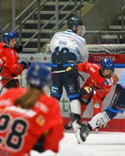 🏒 U15 hält lange stark dagegen!

Gegen den amtierenden deutschen Meister ERC Ingolstadt zeigte unsere U15 am Sonntag über weite Strecken eine starke Leistung. 💪

Der AEV startete mutig, verteidigte leidenschaftlich und ging im ersten Drittel sogar mit 1:0 in Führung. Auch im zweiten Abschnitt blieb die Partie lange offen: Nach dem zwischenzeitlichen 1:2-Rückstand kämpfte sich Augsburg zum 2:2-Ausgleich zurück.

Erst im weiteren Spielverlauf nutzte Ingolstadt die Augsburger Fehler konsequent aus und setzte sich am Ende mit 8:3 durch.

Das Ergebnis fällt deutlich aus – trotzdem hat die Mannschaft gerade in den ersten beiden Dritteln gezeigt, dass sie auch gegen einen Topgegner mithalten kann. Jetzt gilt es, diese Mentalität über 60 Minuten zu bringen. 🔥

➡️ Weiter geht’s bereits am Freitag!

📍 HC Landsberg
📅 Freitag, 09.10.2026
⏰ 19:30 Uhr

#AEV #AugsburgerEV #U15 #Nachwuchs #zukunfteishockey