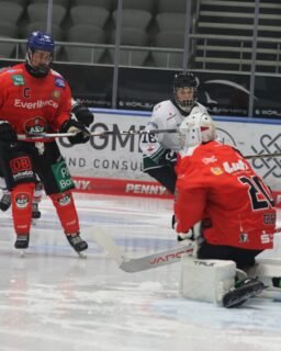 🏒 Bittere Niederlage für unsere U17!

Nach einem starken und dominanten ersten Drittel führte unsere U17 gegen die Starbulls Rosenheim verdient mit 2:0. Auch im zweiten Drittel legten unsere Jungs zunächst stark los und stellten nach dem zwischenzeitlichen Anschlusstreffer schnell den alten Abstand wieder her. Doch Rosenheim kämpfte sich zurück und verkürzte kurz vor der zweiten Pause erneut auf 3:2.

Im Schlussabschnitt erhöhten die Starbulls den Druck. Zwei Minuten vor dem Ende gelang ihnen – mit gezogenem Torhüter – der Ausgleich zum 3:3. Nur eine halbe Minute später drehten die Gäste die Partie komplett und gingen mit 4:3 in Führung.

Trotz aller Versuche unserer Jungs blieb es dabei. Bitter, denn nach großem Einsatz und einer lange Zeit starken Leistung standen am Ende leider keine Punkte auf der Habenseite. 😔

Aber: Kopf hoch und nach vorne schauen! 💪

Denn die Chance auf Revanche gibt es bereits am kommenden Samstag! 🔥

📍 Curt-Frenzel-Stadion
🕒 15:15 Uhr
⚔️ AEV U17 🆚 Starbulls Rosenheim

Wir sehen uns im Stadion! 🏒❤️💚🤍

#AEV #AugsburgerEV #U17 #ZukunftEishockey #Gameday