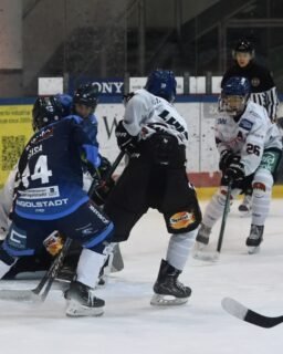 🏒U15 verliert in Ingolstadt

Der AEV wollte in Ingolstadt eine Reaktion auf das Hinspiel zeigen – doch am Ende erwies sich der ERC als die stärkere Mannschaft.

Nach einem bitteren Start und einem Zwei-Tore-Rückstand gelang kurz vor der ersten Pause der wichtige Anschlusstreffer zum 1:2.

Im zweiten Drittel nutzte Ingolstadt seine Chancen eiskalt und zog auf 4:1 davon. Doch unser Team gab sich nicht auf, kämpfte bis zum Schluss und ließ alles auf dem Eis.

Endstand: ERC Ingolstadt 4:1 AEV

Kopf hoch! 💪 Der Einsatz stimmt – jetzt heißt es, nach vorne zu schauen. Denn das nächste Duell hat es in sich!

🔥 Nächstes Spiel
📅 Sonntag, 25. Oktober
🕐 13:00 Uhr
📍 Auswärts beim EV Landshut

Es geht um wichtige Punkte im direkten Kampf um Platz drei und die Qualifikation für die Meisterrunde. Zwei Teams auf Augenhöhe – am Ende können Kleinigkeiten den Unterschied machen.

#NurDerAEV #AEV #U15 #Eishockey

#NurDerAEV Eishockey