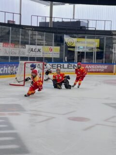 U13 I - Sieg und Niederlage am vergangenen Wochenende

📅 Samstag: AEV – EC Peiting 6:1 Im zweiten Aufeinandertreffen der Saison setzte sich unsere U13 I erneut souverän gegen den EC Peiting durch. Über die gesamte Spielzeit hatten die Jungs die Partie im Griff und ließen keinen Zweifel am verdienten Heimsieg aufkommen. Lediglich den erhofften Shutout konnten die Gäste kurz vor Schluss noch verhindern. 👏

🔥 Sonntag: ESV Kaufbeuren – AEV 6:2 Eishockey auf höchstem U13 Niveau bekamen die Zuschauer am Sonntag in Kaufbeuren zu sehen. Beide Mannschaften lieferten sich über weite Strecken ein hochklassiges und intensives Duell mit sehenswerten Spielzügen, großem Kampf und hohem Einsatz.
Die Gastgeber gingen zweimal in Führung, doch unsere Mannschaft fand jedes Mal die passende Antwort. Nach zwei Dritteln stand ein leistungsgerechtes 2:2 auf der Anzeigetafel. Als die Joker in der 45. Minute erneut in Führung gingen, stemmte sich der AEV beeindruckend gegen die drohende Niederlage. Die Chancen auf den Ausgleich waren da, doch mit dem 4:2 in der 54. Minute gelang es Kaufbeuren, das Spiel auf seine Seite zu ziehen. Zwei weitere Treffer in den Schlussminuten führten schließlich zum Endstand.
Trotz der Niederlage zeigte unser Team eine starke Leistung gegen den souveränen Tabellenführer. Besonders hervorzuheben waren neben Einsatz und Kampfgeist die starke Leistung unseres Torhüters, der sein Team mit zahlreichen Paraden lange im Spiel hielt. 💪👏

📅 Die letzten beiden Spieltage der Hauptrunde stehen bevor:
🚌 Samstag, 31.10.26 | 10:45 Uhr River Rats Geretsried – AEV

🏠 Sonntag, 01.11.26 | 17:15 Uhr AEV – ESV Kaufbeuren
Wir freuen uns auf eure Unterstützung in den entscheidenden Spielen der Saison! 🔴🟢⚪

#AEV #ZukunftEishockey #Eishockey #Augsburg #AEVu13