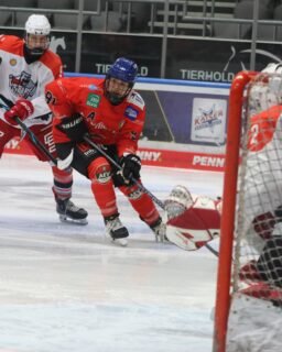 🏒 U17 - Bitterer Auftakt in die Meisterrunde
Zwei Spiele, zwei Niederlagen gegen die Jungeisbären Regensburg.
🔴 Samstag: 0:5
Unsere Jungs fanden nie richtig ins Spiel und mussten sich verdient geschlagen geben.
⚫ Sonntag: 5:7
Deutlich stärker präsentierte sich der AEV am Sonntag! 💪 Trotz verdienter Führung und einer offenen Partie blieb die starke Leistung unbelohnt. Zwei große Strafen innerhalb von 30 Sekunden brachten Regensburg zurück ins Spiel. Am Ende schwanden aufgrund des dezimierten Kaders die Kräfte.
😔 Bitter, denn da wäre mehr drin gewesen!
Jetzt heißt es: Kräfte sammeln und nach vorne schauen! Nach zwei spielfreien Wochenenden geht es für unsere U17 nach Berlin. 🔥
#AEV #AugsburgerEV #U17 #Meisterrunde #Eishockey